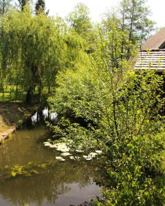 Dom Žaba - Spreewaldatmosphäre im neu renovierten Bauwagen