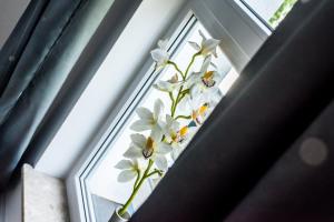 MW APARTAMENTY NOWE APARTAMENTY PRZYMORZE