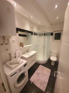 Apartman Frane