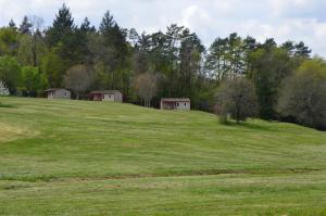 Campings La Foret Enchantee : photos des chambres