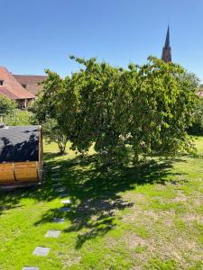 Maisons de vacances Gite Au sauna de l’Aubach : photos des chambres