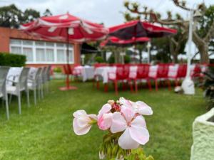 Hostal Restaurante Luz de Luna