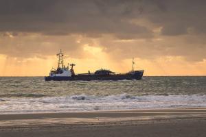 Boszicht 2 appartement in Oostkapelle