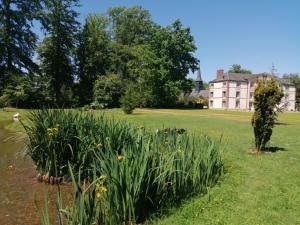 Sejours chez l'habitant Chambre Le Notre Le Domaine Des Jardins De Bracquetuit : photos des chambres