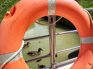 Bateau 6 personnes sans permis terrasse à quai ou Supplément Navigation