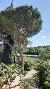 Maisons de vacances Le jardin : photos des chambres