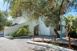 Villa Andrea img14