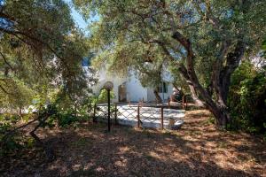 Villa Andrea img17