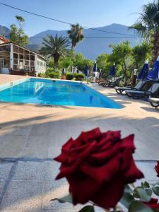 Adrasan Maviay Hotel