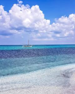 casetta sul porticciolo img46