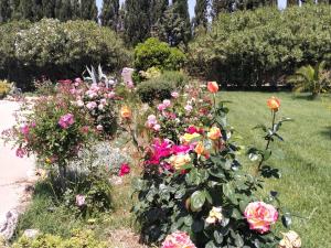 Il Giardino delle Rose A img24