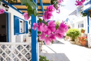 George's beach studios Aliki Paros Paros Greece