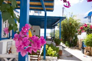 George's beach studios Aliki Paros Paros Greece