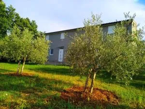 Apartments Valeria - Divšići