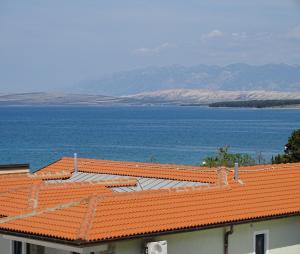 Apartmani David