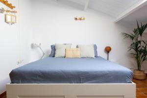 Duplex Balancon