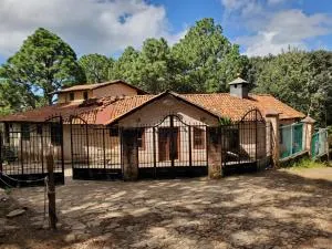 Cabaña DNellys Rosa con cancha de basquetbol - Ocotlán
