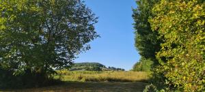 B&B / Chambres d'hotes Le Coq en Repos : photos des chambres