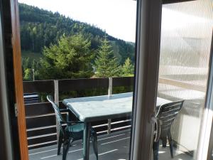 Appartement a la montagne ,vue sur les pistes