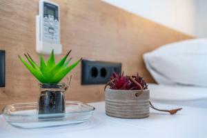 PINNA RESIDENCE - Caretta