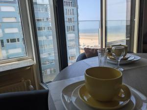 Studio Sun south- seaview-sea at 15meter-Ostend