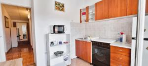 Apartment Branko