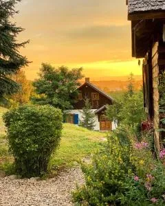 Cisowe Wzgórze - Poshirvinty