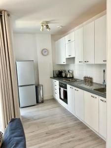 2 Bedroom Serviced Apartment with Free Parking, Wifi & Netflix, Basingstoke