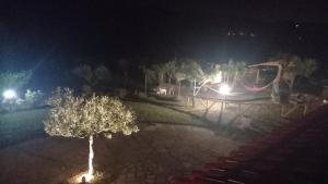 Villa Rosa in Surrau img23