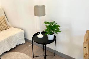 Appartements Le cosy de l'Ile Verte  #DD : Appartement