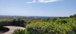 Villetta Asfodelo 33 IS Molas img22