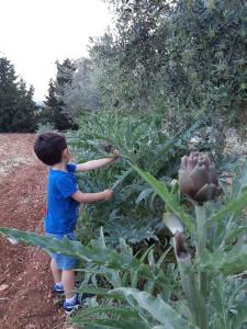 Il Rifugio di Farinella