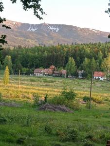 DOMEK POD ŚMIELCEM