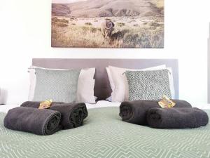 Fynbos Studio DG in der Altstadt, Frauenkirchenblick, Parkplatz