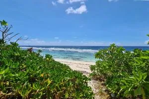 Cottage Manua - Temae