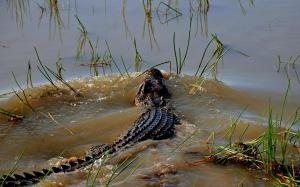 Mary River Floodplain, Kakadu, Northern Territory, Australia.