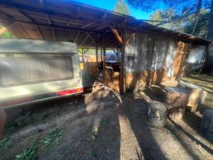 Каравана Чайка