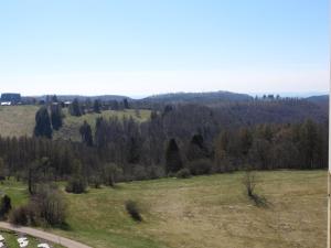 Appartement zum Kuckuck noch mal