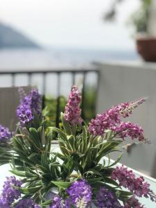 A casa dei Sasso, vista mare mozzafiato!