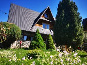 Domek do wynajęcia "Jodłowe Izby"