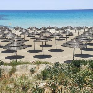 Narcissos 'Nissi Beach' Apartment A8 - 4hvězdičkové hotely ve městě Ayia Napa