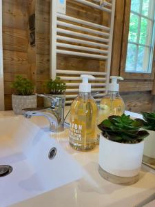 Chalets Le Refuge de Belbriette, chalet au coeur de la nature avec spa : photos des chambres