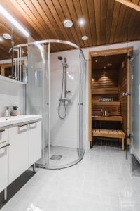 Holiday In Lapland - SointuiLevi A58