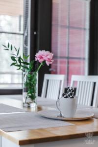 Holiday In Lapland - SointuiLevi A58