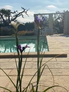 Podere Corda di Lana