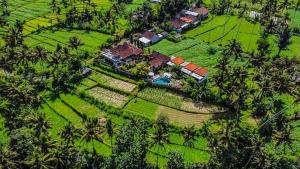 Dana Bali Ricefield Villa