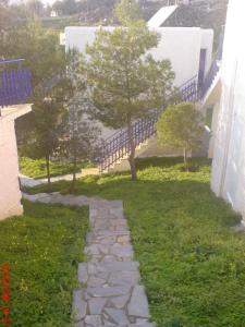 Aetos Beach Bungalows Evia Greece