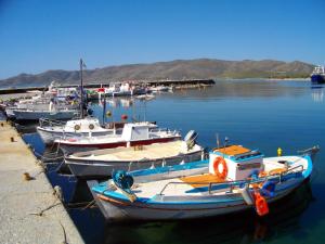 Aetos Beach Bungalows Evia Greece