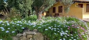 Agriturismo Bachile Bertula