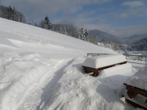 Hotels Logis Hotel Le Vetine : photos des chambres
